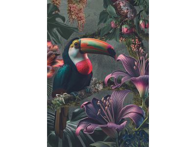 Toucan Bird