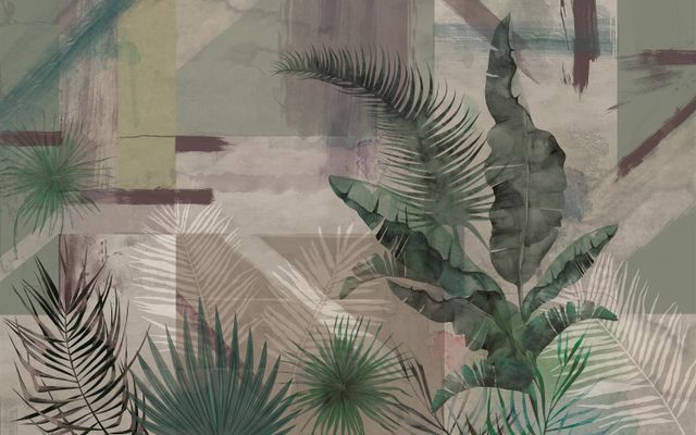 Kzy 559 (Rainforest V2)