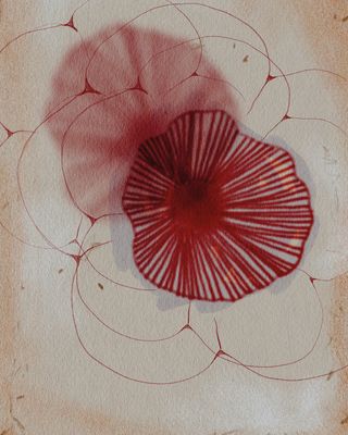 Kzy 083 (Botanical Echoes)