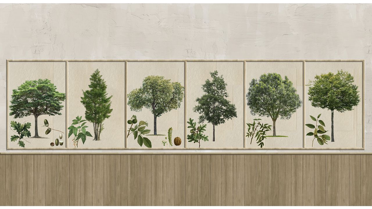 Arbres