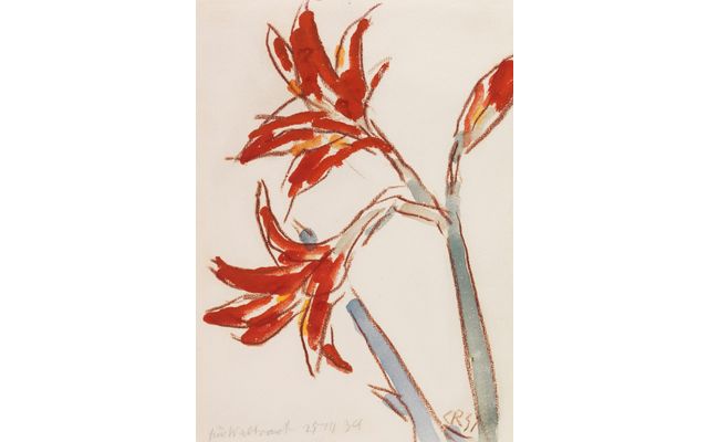 Skecthy Lily
