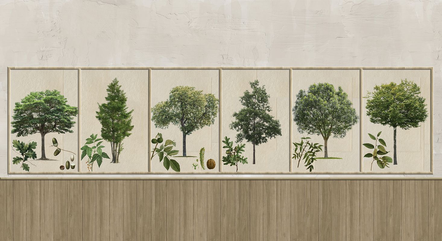 Kzy 531 (Arbres)