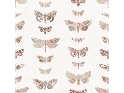 Cute Shabby Moths