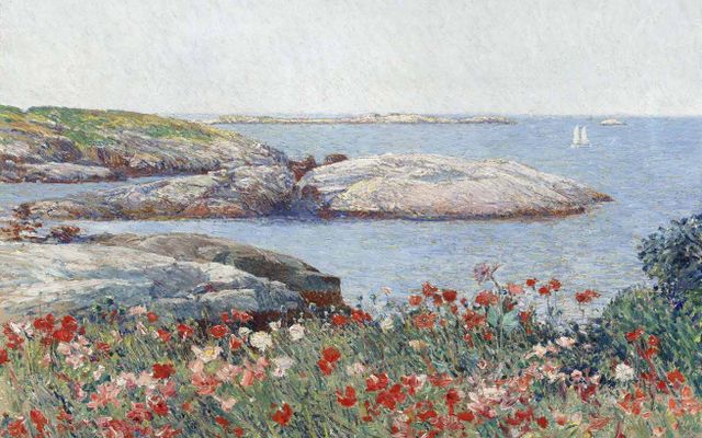 Poppies Near the Sea