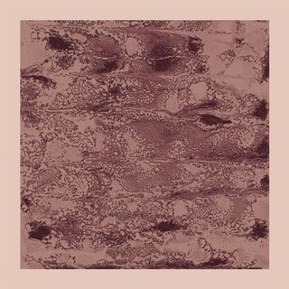 Kzy 067 (Crimson Ash)