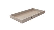 Montessori(Yavrusu)