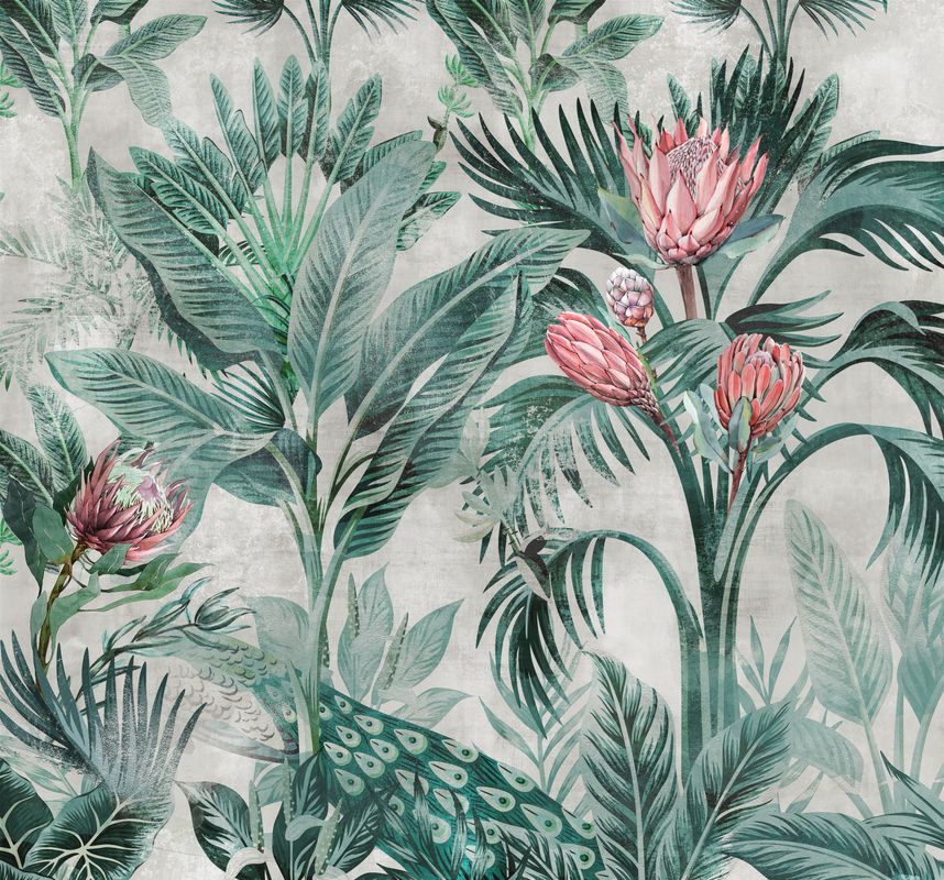 Kzy 557 (Protea)
