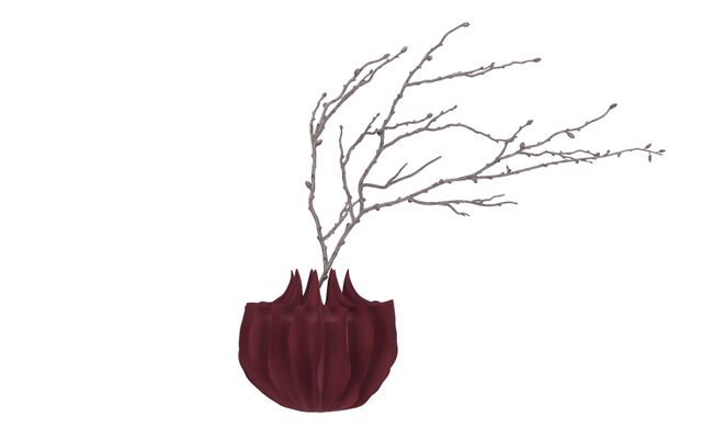 Burgundy V2