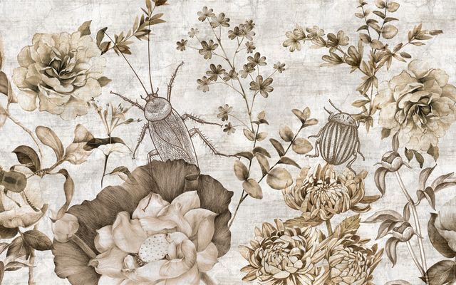 Kzy 545 (Fauna Flora)