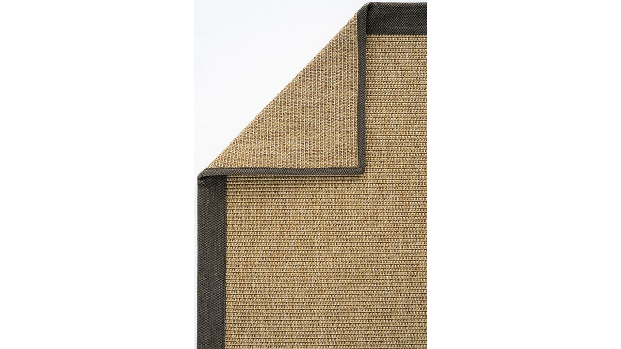 Toronto Sisal (V2)