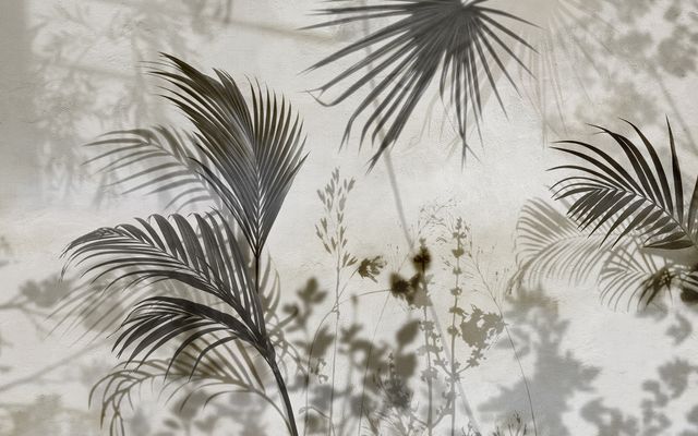Kzy 563 (Shade)