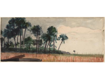 Watercolor Palm