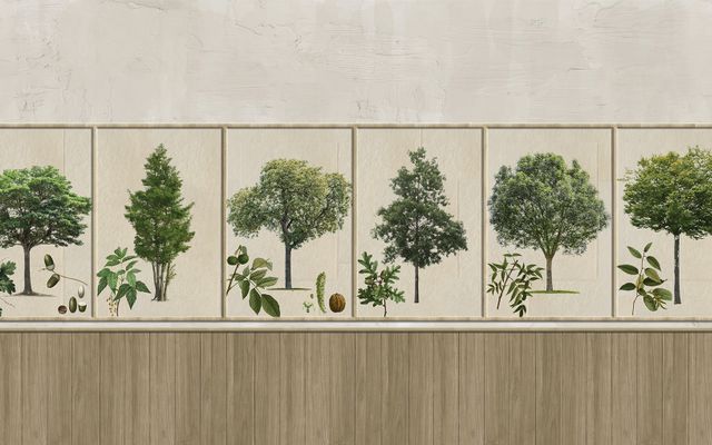 Kzy 531 (Arbres)