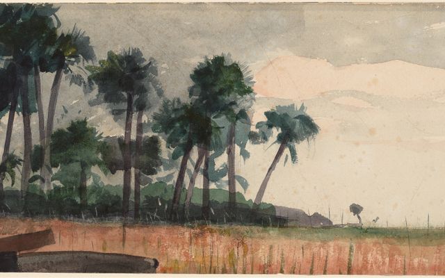 Watercolor Palm