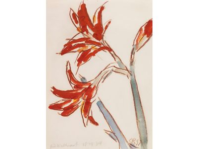 Skecthy Lily