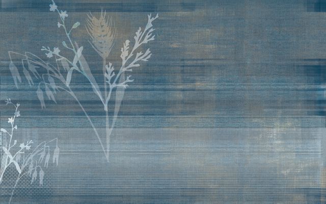 Kzy 534 (Blue)