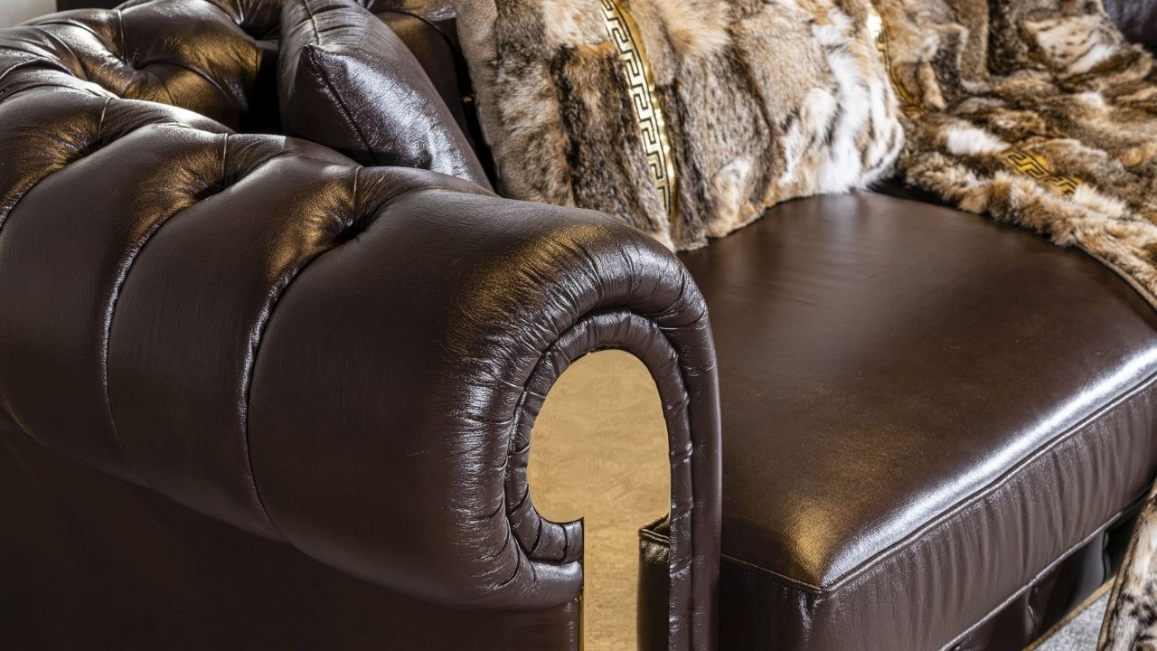 Cavalli 052