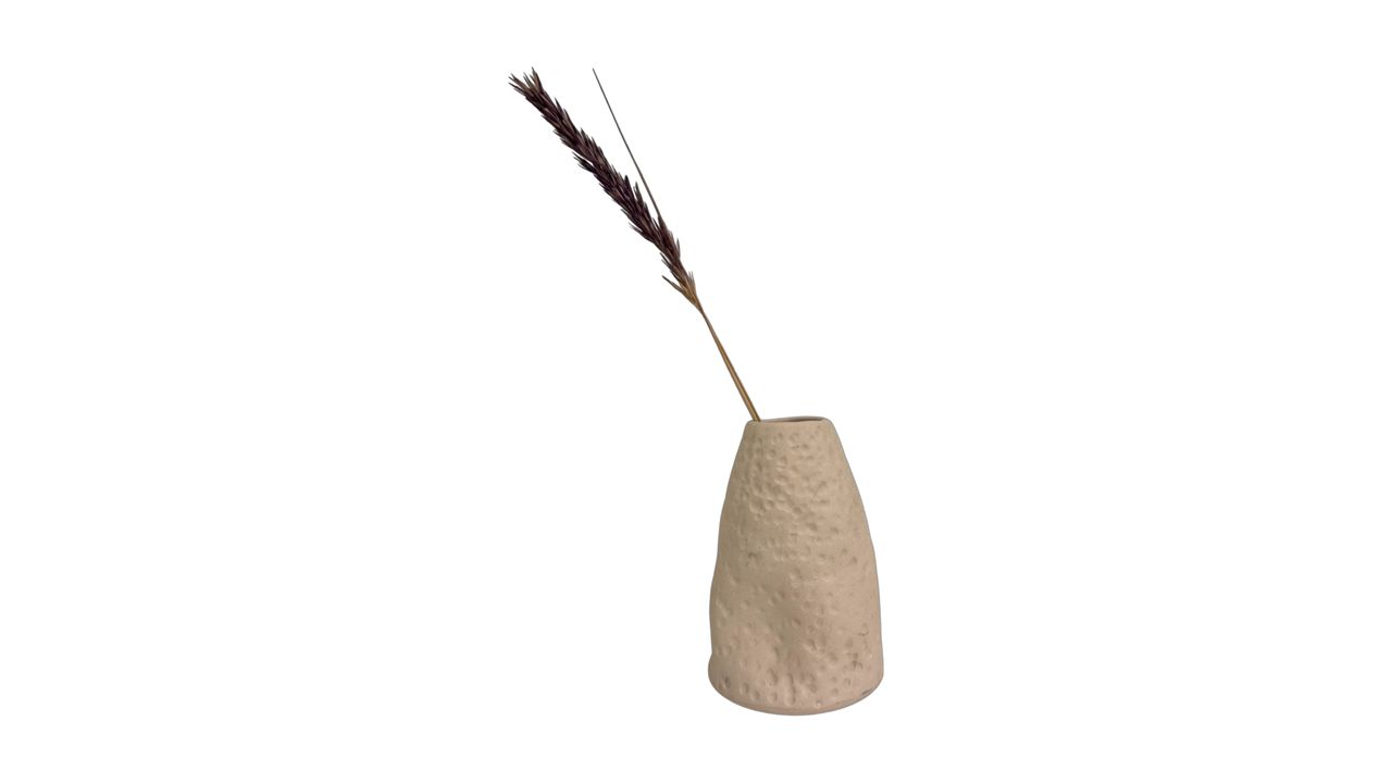 Point Tissue