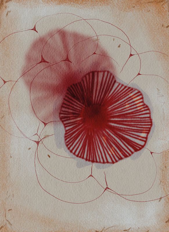 Kzy 083 (Botanical Echoes)
