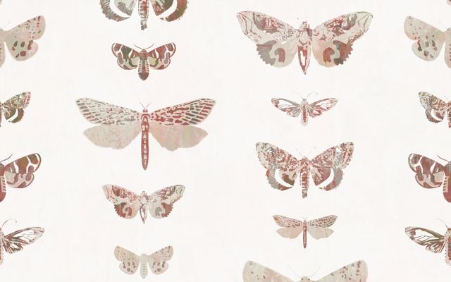 Cute Shabby Moths