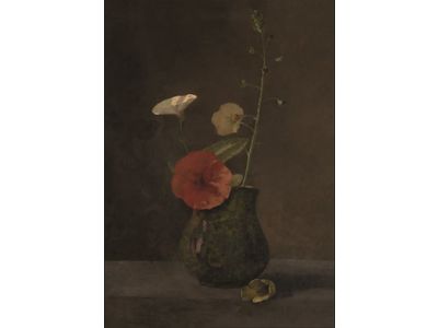 Single Poppy