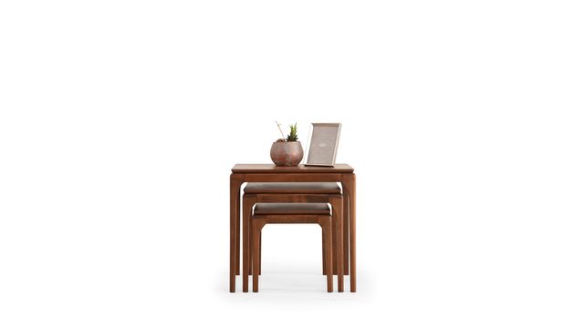 Bongo