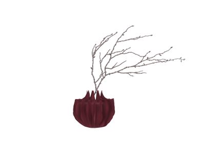 Burgundy V2