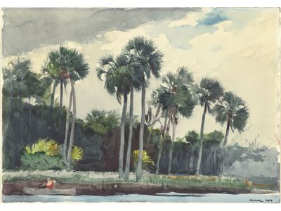 Watercolor Palm V2