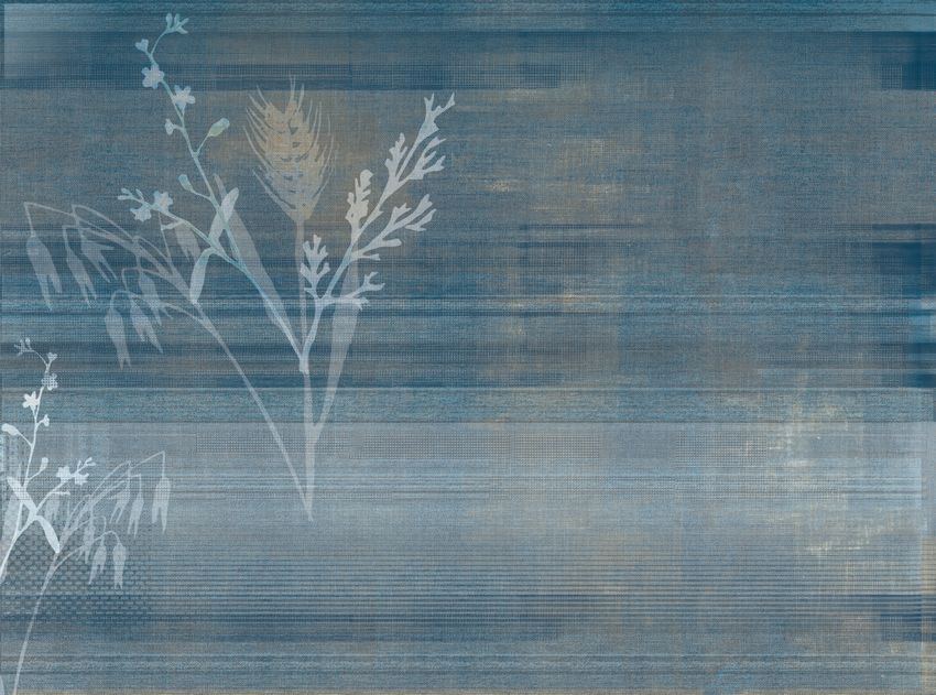 Kzy 534 (Blue)