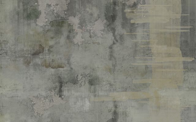 Kzy 556 (Plaster V2)