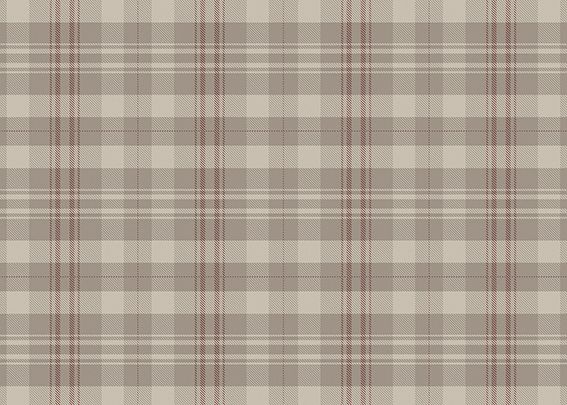 Kzy 543 (Plaid)