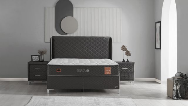 Thermo Control Antrasit